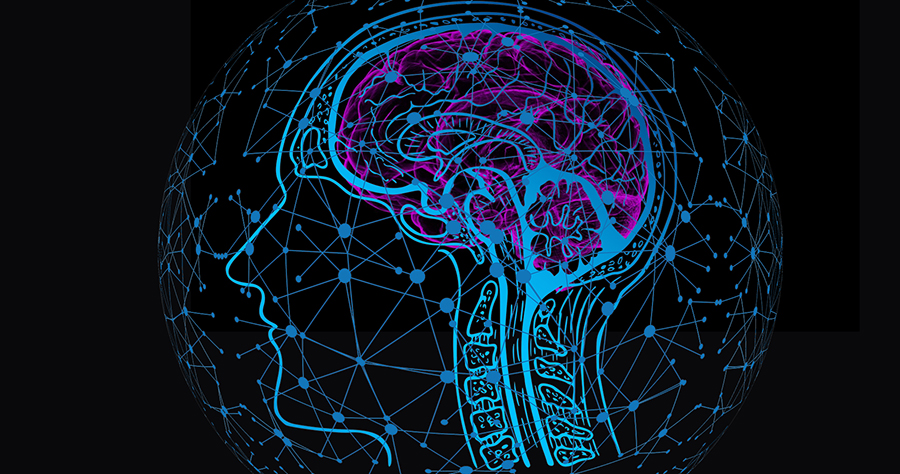 A graphic image showing circuits within the brain. Mizzou now offers certificates in neural engineering.