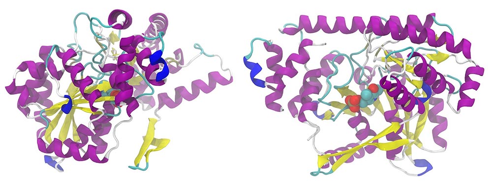 Graphic of 3D protein structure.