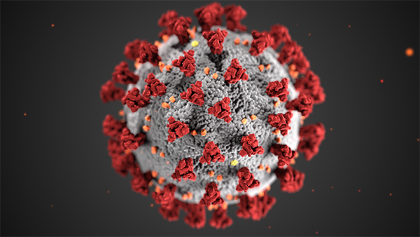 Image of COVID virus