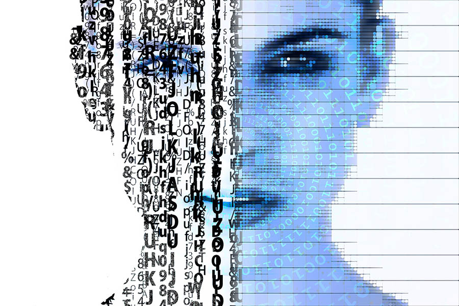 graphic of computerized face.