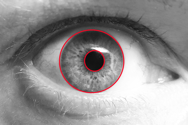 Black and white image of eye.