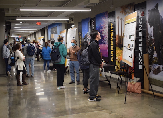 Students look at research posters
