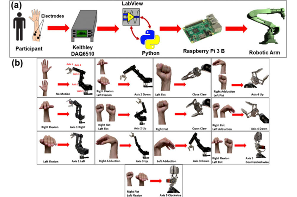Graphic showing hand and robotic movements.