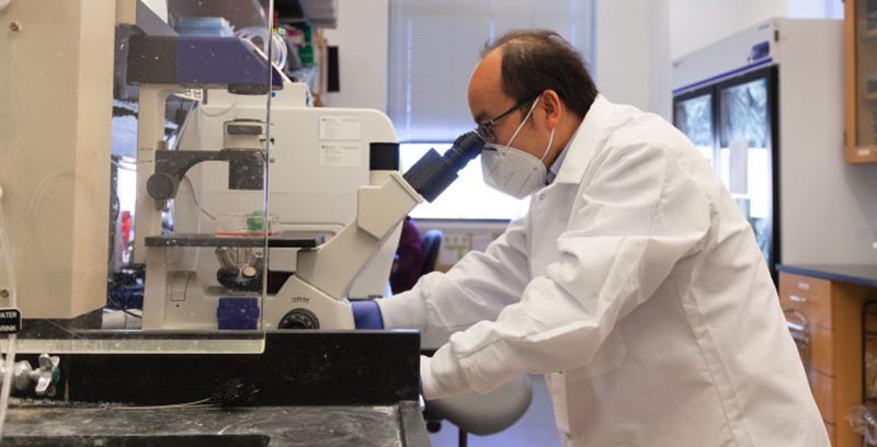 Man in lab looking in microscope.