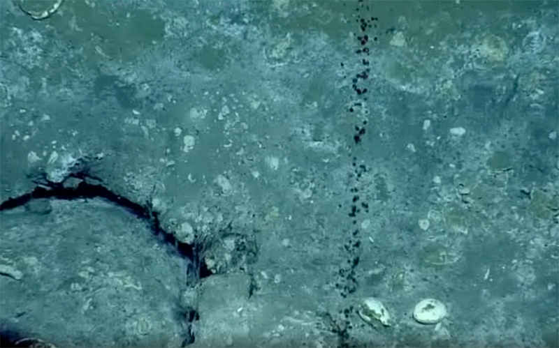 Natural seeps, or oil rising from ocean floor.