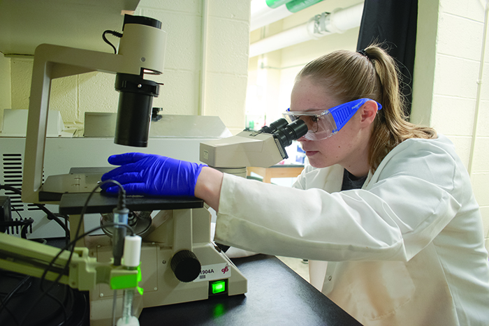 Student working in a lab