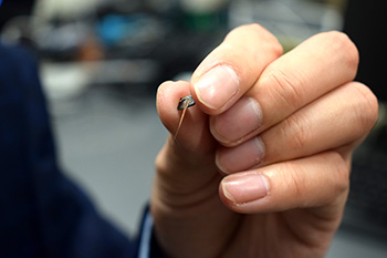 Close up photo of hand holding tiny probing device