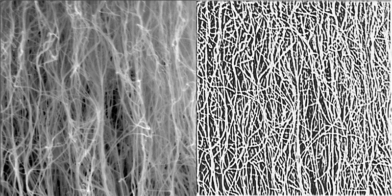 Raw and output images of carbon nanotubes