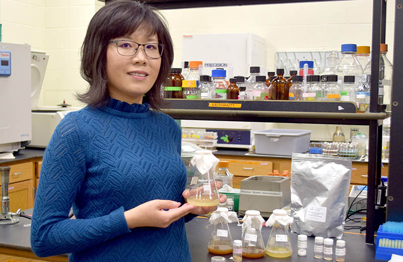Caixia “Ellen” Wan with the microorganisms that help turn food wastes into plastic.