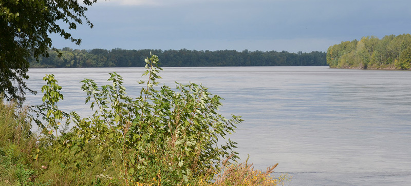 Image of Missouri River water and trees