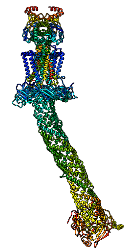 Graphic of a protein structure, which determines function