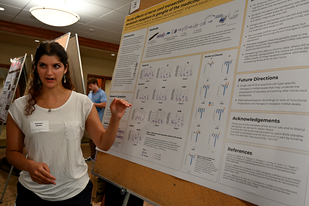 mizzou summer research fellowship