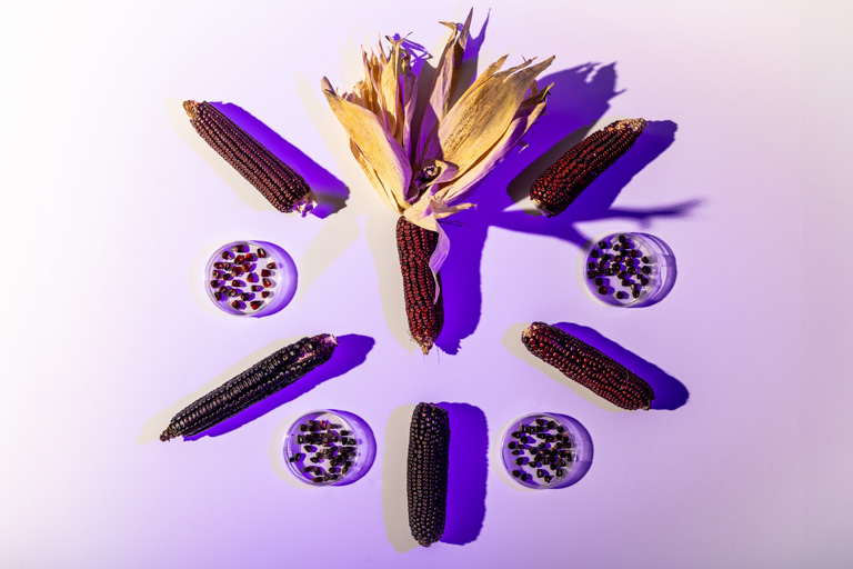 purple corn arrangement