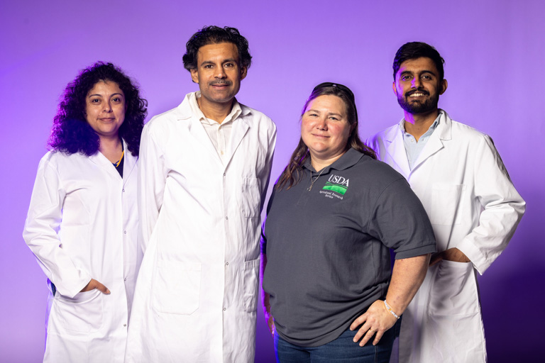 The research team includes Miriam Nancy Salazar Vidal, a research scientist in the Division of Plant Sciences and Technology at the College of Agriculture, Food and Natural Resources; Assistant Professor Paval Somavat; Sherry Flint-Garcia, a research geneticist at the U.S. Department of Agriculture’s Agriculture Research Service; and Ravinder Kumar, a doctoral student and research assistant.