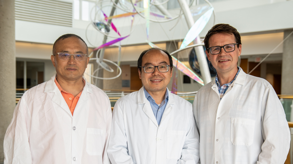 Wenjun Ma, Henry Wan and John Driver