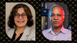 Nicole N. Hashemi and Raghuraman Kannan