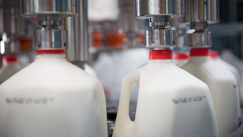 Gallon jugs of milk being filled