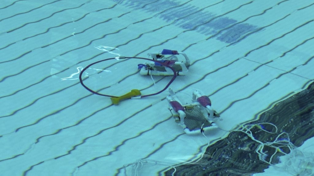 Two underwater robots constructed of PVC tubing attempt to navigate a sunken hula hoop