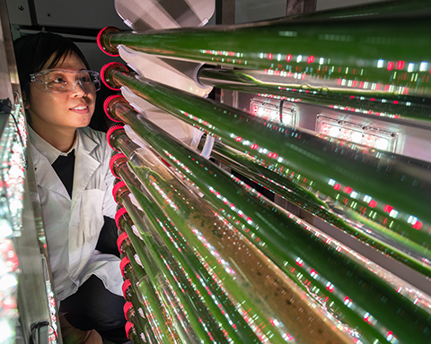 Susie Dai in her lab