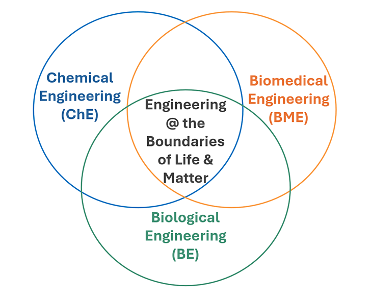 Venn diagram showing how chemical engineering, biological engineering and biomedical engineering converge