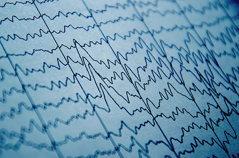 Brain waves on a screen