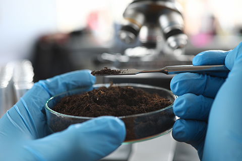 Scientist wearing protective gloves examining ground sample at laboratory close-up